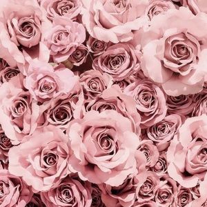 Meet your Posher, Sydney